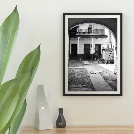 Sleeping Lima - Limited Edition Fine Art Print